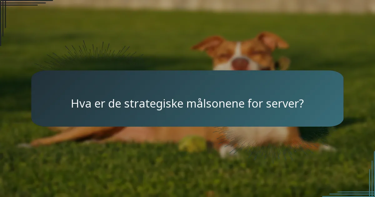 Hva er de strategiske målsonene for server?