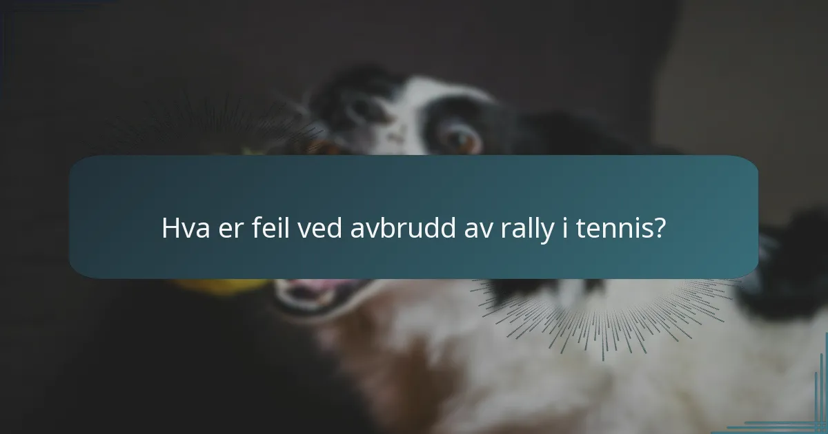 Hva er feil ved avbrudd av rally i tennis?