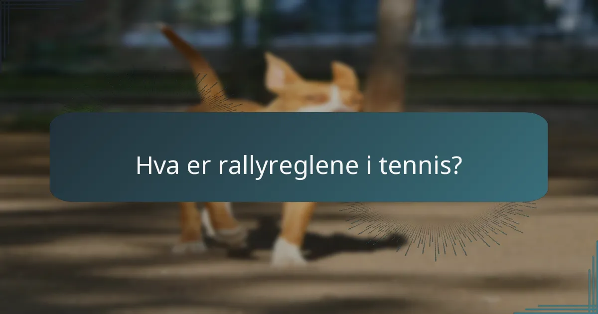 Hva er rallyreglene i tennis?