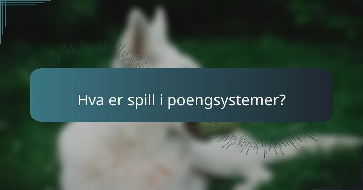 Hva er spill i poengsystemer?