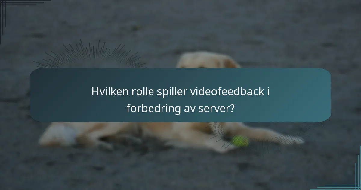 Hvilken rolle spiller videofeedback i forbedring av server?